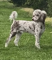 processed/c71a5250-56b3-4e9c-874f-b0f3d904917d/facility/3323ae86-ea42-4e06-a119-d8ad1910a9f1