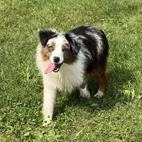 processed/c71a5250-56b3-4e9c-874f-b0f3d904917d/facility/aad72058-d187-47b6-8d9a-a7f77b974cd1