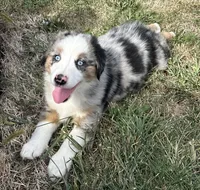 processed/c71a5250-56b3-4e9c-874f-b0f3d904917d/listing/09eb073a-5fd8-4301-8b31-3c1ba8375988/3484b8d9-0311-41f5-833e-f553aaa9c3d2