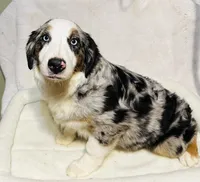 processed/c71a5250-56b3-4e9c-874f-b0f3d904917d/listing/09eb073a-5fd8-4301-8b31-3c1ba8375988/427e1d8e-d41f-4a4a-be00-58825049f70c