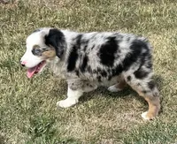 processed/c71a5250-56b3-4e9c-874f-b0f3d904917d/listing/09eb073a-5fd8-4301-8b31-3c1ba8375988/460777f7-b244-4d7b-a1c1-117cc039786f