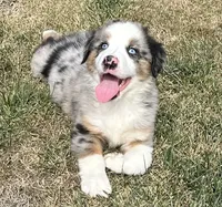 processed/c71a5250-56b3-4e9c-874f-b0f3d904917d/listing/09eb073a-5fd8-4301-8b31-3c1ba8375988/fc007f3b-211e-454d-a450-5ebae2f9c791