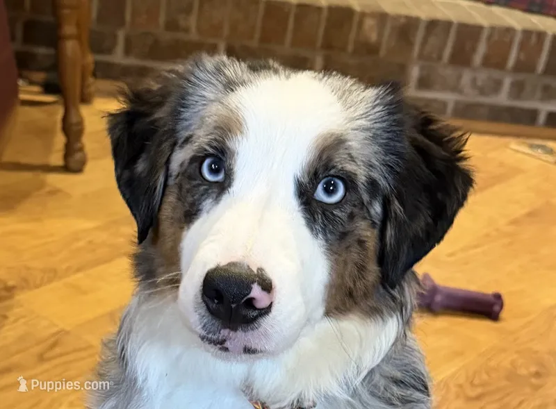 Manning “Brawnley”