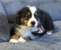 processed/c71a5250-56b3-4e9c-874f-b0f3d904917d/listing/22a76f56-7a5b-47b9-9e92-20328f1a5fd6/489a66ad-26c8-4db5-be3e-aaeacf5ef43c