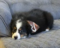 processed/c71a5250-56b3-4e9c-874f-b0f3d904917d/listing/22a76f56-7a5b-47b9-9e92-20328f1a5fd6/7d72ae42-02e0-4221-8a86-3fc776742972