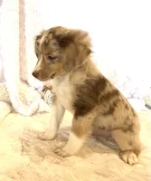 processed/c71a5250-56b3-4e9c-874f-b0f3d904917d/listing/28b593c3-c3dd-4f05-a9c0-1703b18693ff/3f81989c-3215-4aa8-8322-8127bc5b3723