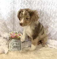 processed/c71a5250-56b3-4e9c-874f-b0f3d904917d/listing/28b593c3-c3dd-4f05-a9c0-1703b18693ff/4acfae77-074a-4ad4-8143-594f73ef1d40