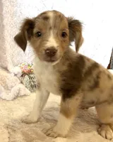 processed/c71a5250-56b3-4e9c-874f-b0f3d904917d/listing/28b593c3-c3dd-4f05-a9c0-1703b18693ff/4d84aa8f-d64b-46bd-9b0b-df8ecaab075e