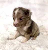 processed/c71a5250-56b3-4e9c-874f-b0f3d904917d/listing/28b593c3-c3dd-4f05-a9c0-1703b18693ff/6898d167-028e-42b7-8145-fa668568a786