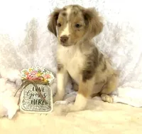 processed/c71a5250-56b3-4e9c-874f-b0f3d904917d/listing/28b593c3-c3dd-4f05-a9c0-1703b18693ff/ad32cff6-2273-4843-ac86-6d1780a445d2