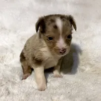 processed/c71a5250-56b3-4e9c-874f-b0f3d904917d/listing/28b593c3-c3dd-4f05-a9c0-1703b18693ff/f45c2e98-9264-4113-aa27-e5e8edff0207