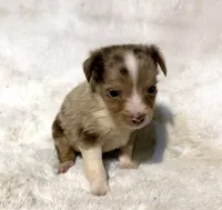 processed/c71a5250-56b3-4e9c-874f-b0f3d904917d/listing/28b593c3-c3dd-4f05-a9c0-1703b18693ff/f76711b1-51b1-4fb5-83fd-02effa7f8f98