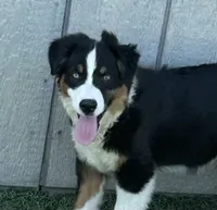 processed/c71a5250-56b3-4e9c-874f-b0f3d904917d/listing/30ddc74f-aba9-444e-823a-8e784b44604c/5f5d2806-bac5-4a0e-9918-473ae6c6badb