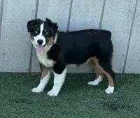 processed/c71a5250-56b3-4e9c-874f-b0f3d904917d/listing/30ddc74f-aba9-444e-823a-8e784b44604c/69c23553-600f-4df9-8660-7413e6896ee1