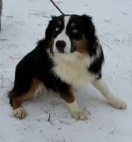 processed/c71a5250-56b3-4e9c-874f-b0f3d904917d/listing/30ddc74f-aba9-444e-823a-8e784b44604c/76884f85-0d6a-418e-ad56-9ba2a44c52dc