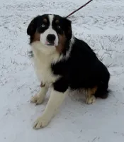 processed/c71a5250-56b3-4e9c-874f-b0f3d904917d/listing/30ddc74f-aba9-444e-823a-8e784b44604c/8a2c2f51-3db7-4326-a4fe-838bda3c51c1