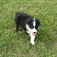 processed/c71a5250-56b3-4e9c-874f-b0f3d904917d/listing/30ddc74f-aba9-444e-823a-8e784b44604c/e0dd1681-eabd-46b4-aed9-81a18e4bb005