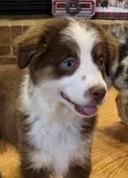 processed/c71a5250-56b3-4e9c-874f-b0f3d904917d/listing/47a5c607-fc1a-4d56-b6d2-1b0256791b64/04b57ac6-4975-4c95-9b96-c11a1e47a44f