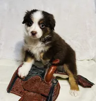 processed/c71a5250-56b3-4e9c-874f-b0f3d904917d/listing/47a5c607-fc1a-4d56-b6d2-1b0256791b64/27d4cf41-636c-45eb-b46a-9979e5d88d57