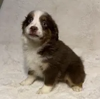 processed/c71a5250-56b3-4e9c-874f-b0f3d904917d/listing/47a5c607-fc1a-4d56-b6d2-1b0256791b64/562abb88-0c68-44bc-a628-5cda713e226e