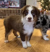 processed/c71a5250-56b3-4e9c-874f-b0f3d904917d/listing/47a5c607-fc1a-4d56-b6d2-1b0256791b64/5f71e46e-ab36-4075-93db-8bd118cb2d4b