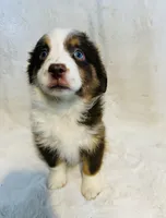 processed/c71a5250-56b3-4e9c-874f-b0f3d904917d/listing/47a5c607-fc1a-4d56-b6d2-1b0256791b64/bc452683-2efd-4fc9-b60c-ec0adbd110b4