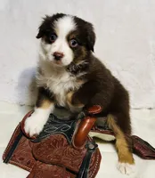 processed/c71a5250-56b3-4e9c-874f-b0f3d904917d/listing/47a5c607-fc1a-4d56-b6d2-1b0256791b64/ebfc66f9-1732-46da-b3c4-64b2693cdd85