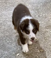 processed/c71a5250-56b3-4e9c-874f-b0f3d904917d/listing/47a5c607-fc1a-4d56-b6d2-1b0256791b64/f8d3c077-a573-4858-8541-dbe41295efb7