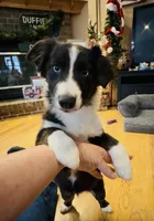 processed/c71a5250-56b3-4e9c-874f-b0f3d904917d/listing/5cfa2a7f-ef09-4ae5-a3f0-8fd54f273828/10a3af06-2f9a-4ee0-8d34-71fc44493cb5