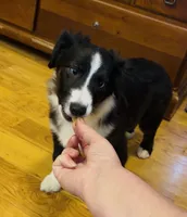 processed/c71a5250-56b3-4e9c-874f-b0f3d904917d/listing/5cfa2a7f-ef09-4ae5-a3f0-8fd54f273828/26b7635a-2244-49c7-9c48-d0006082f198