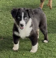 processed/c71a5250-56b3-4e9c-874f-b0f3d904917d/listing/5cfa2a7f-ef09-4ae5-a3f0-8fd54f273828/27001153-a107-4bca-90ea-74f3bc922f7e