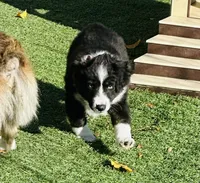 processed/c71a5250-56b3-4e9c-874f-b0f3d904917d/listing/5cfa2a7f-ef09-4ae5-a3f0-8fd54f273828/3beaa8eb-8f97-4dfd-a9aa-8fac677a8a0a