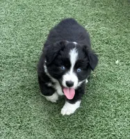 processed/c71a5250-56b3-4e9c-874f-b0f3d904917d/listing/5cfa2a7f-ef09-4ae5-a3f0-8fd54f273828/518cefda-ea47-48ec-945b-ac1b3c1f87e6