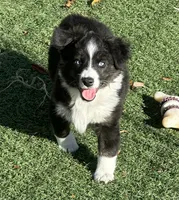 processed/c71a5250-56b3-4e9c-874f-b0f3d904917d/listing/5cfa2a7f-ef09-4ae5-a3f0-8fd54f273828/57c3ff59-1991-4822-821c-d71501d39ade