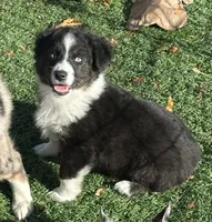 processed/c71a5250-56b3-4e9c-874f-b0f3d904917d/listing/5cfa2a7f-ef09-4ae5-a3f0-8fd54f273828/68f8c544-7f42-402e-b351-b5c482317768