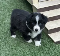 processed/c71a5250-56b3-4e9c-874f-b0f3d904917d/listing/5cfa2a7f-ef09-4ae5-a3f0-8fd54f273828/6c487254-1f62-4343-bae0-178ac6d2dae6