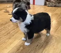 processed/c71a5250-56b3-4e9c-874f-b0f3d904917d/listing/66e8cd6e-d092-43db-935c-722806616d56/25370633-f6b7-4f50-a983-90a98114a430