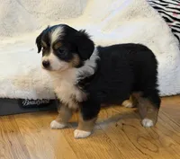 processed/c71a5250-56b3-4e9c-874f-b0f3d904917d/listing/66e8cd6e-d092-43db-935c-722806616d56/40f7d4e5-98c3-41cc-996e-b47a166a5658