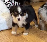 processed/c71a5250-56b3-4e9c-874f-b0f3d904917d/listing/66e8cd6e-d092-43db-935c-722806616d56/940b332d-92ac-4501-be5c-a1de769071df