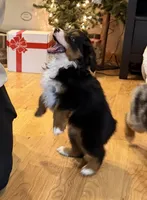 processed/c71a5250-56b3-4e9c-874f-b0f3d904917d/listing/66e8cd6e-d092-43db-935c-722806616d56/ab873de8-f92f-4be6-88a6-b11245b8a188