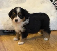 processed/c71a5250-56b3-4e9c-874f-b0f3d904917d/listing/66e8cd6e-d092-43db-935c-722806616d56/d3a0cbbe-1f2d-4dfe-9596-8678c5a7dfa2