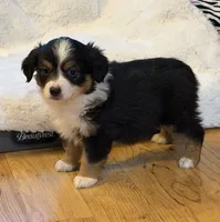 processed/c71a5250-56b3-4e9c-874f-b0f3d904917d/listing/66e8cd6e-d092-43db-935c-722806616d56/d6bac6be-c318-452c-b69f-c80e8252f647