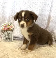 processed/c71a5250-56b3-4e9c-874f-b0f3d904917d/listing/6a4fd7c7-6e50-44f4-8c70-43b39bd0f05d/5ed6a9f0-aeb8-4044-ac07-c1e40694a699