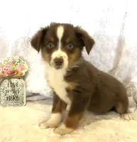 processed/c71a5250-56b3-4e9c-874f-b0f3d904917d/listing/6a4fd7c7-6e50-44f4-8c70-43b39bd0f05d/78ef2013-ca5f-463d-bfc3-b50e66cb555a