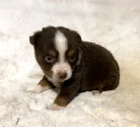 processed/c71a5250-56b3-4e9c-874f-b0f3d904917d/listing/6a4fd7c7-6e50-44f4-8c70-43b39bd0f05d/891890e8-cf9c-4d7f-9f3c-be83eb9b213e