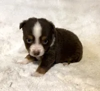 processed/c71a5250-56b3-4e9c-874f-b0f3d904917d/listing/6a4fd7c7-6e50-44f4-8c70-43b39bd0f05d/b38eea1e-3f66-402f-ac8d-6876eeb8f63e