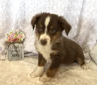 processed/c71a5250-56b3-4e9c-874f-b0f3d904917d/listing/6a4fd7c7-6e50-44f4-8c70-43b39bd0f05d/bf793e12-2cd2-4f3a-9118-49c2f57016c6