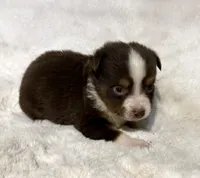 processed/c71a5250-56b3-4e9c-874f-b0f3d904917d/listing/6a4fd7c7-6e50-44f4-8c70-43b39bd0f05d/c8c66bc7-3bc0-45a8-a21e-22e5d8ac7d12