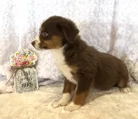 processed/c71a5250-56b3-4e9c-874f-b0f3d904917d/listing/6a4fd7c7-6e50-44f4-8c70-43b39bd0f05d/ced30d57-a095-4bb4-bf82-4a3238afe973