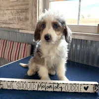 processed/c71a5250-56b3-4e9c-874f-b0f3d904917d/listing/70f80aa3-f59a-46ac-b465-cf7d1290fdea/28f45b06-c7e7-450f-a1cd-4913d2085823